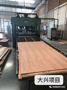 走進工廠車間,督促生產(chǎn)供貨 材料公司加快供應助力沖刺四季度目標系列報道 三