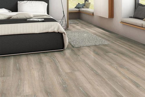 德國Haro品牌木地板 品質(zhì)與設計的完美融合，暢銷全國